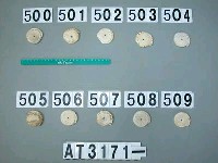 藏品(芋螺貝)的圖片